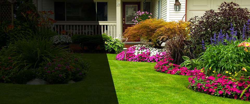 Montrose Landscapers