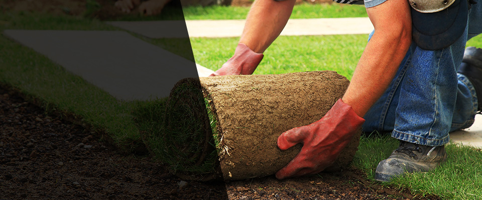 Montrose Landscapers